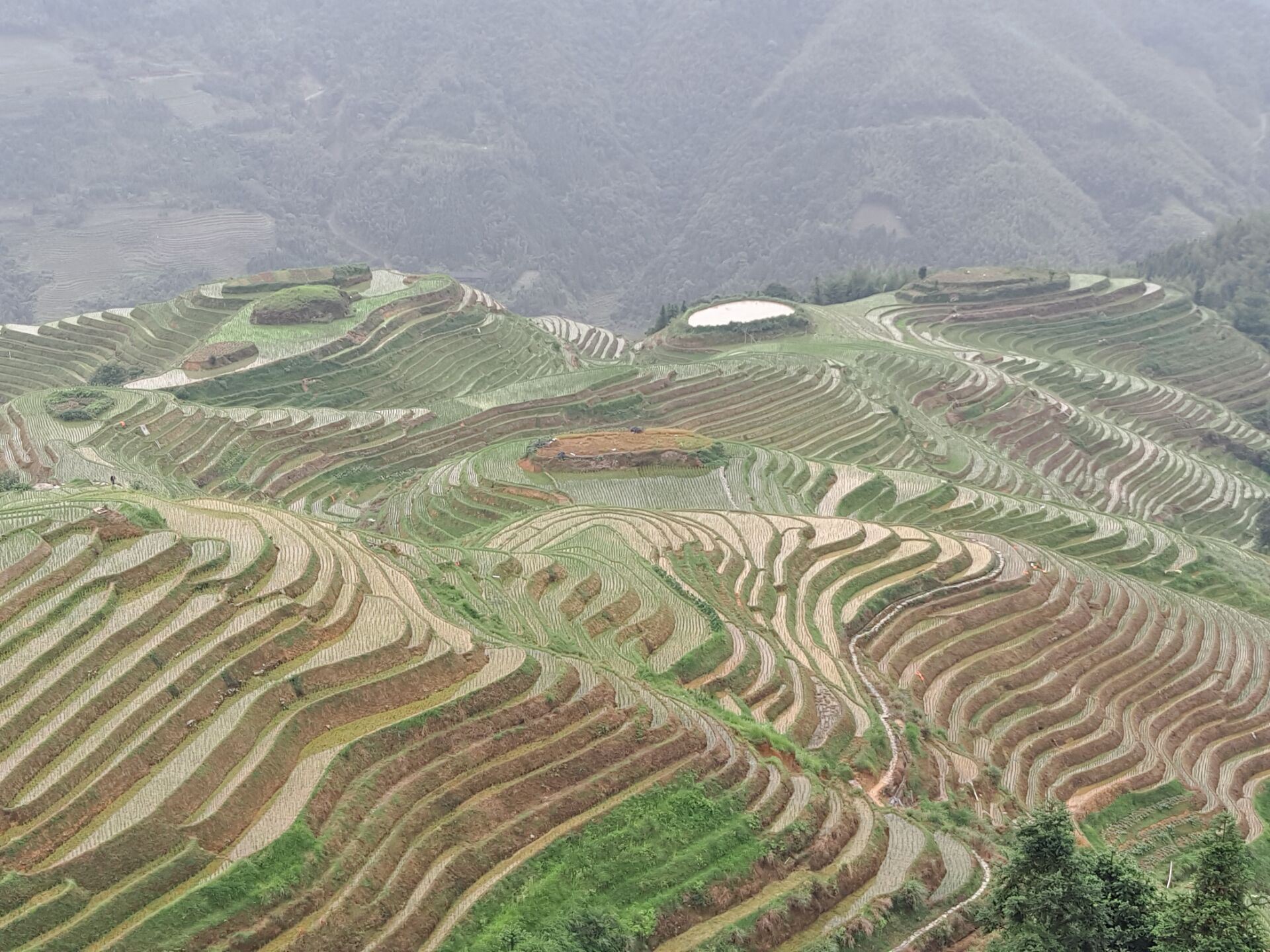 Tour privato di 1 giorno alle terrazze di riso di Longji con i villaggi Zhuang e Yao