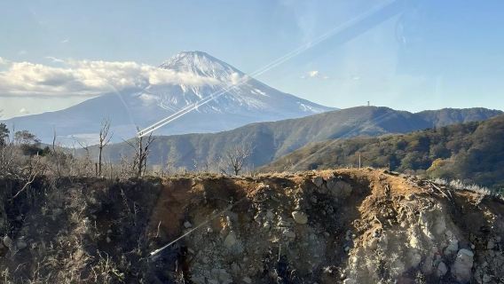 日本東京+箱根神社+大湧谷一日遊/行程可調-可定制多日