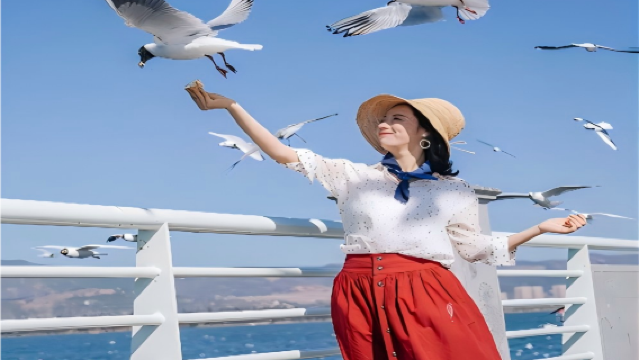 滇池+西山龍門+雲南民族村純玩一日遊【含電瓶車◆可選8人團】