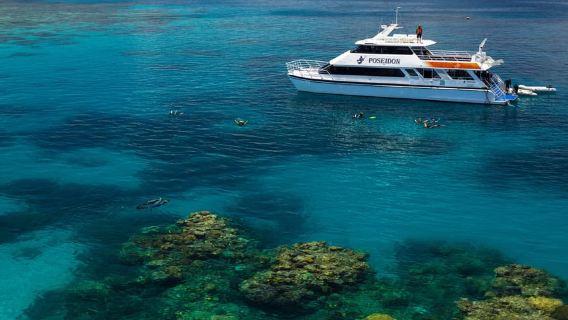 Port Douglas: Buceo y esnórquel en la barrera de coral exterior de Poseidón