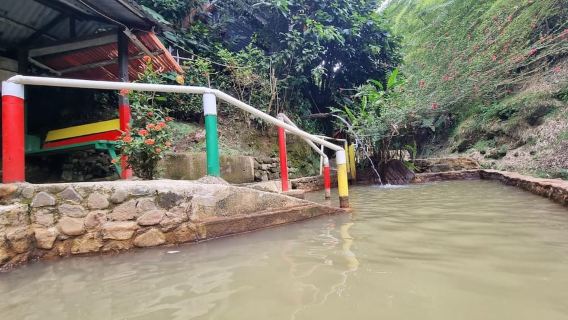 Dominica: Titou Gorge and Hot Springs Tour with Transfer