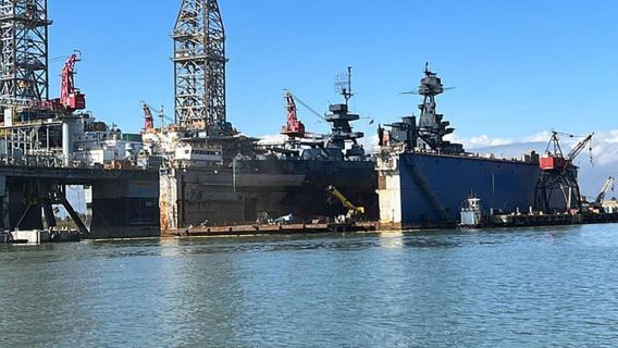 Galveston: Crucero de avistamiento de delfines