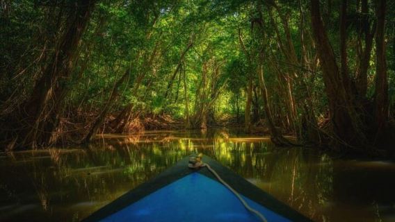 Dominica: Indian River Discovery & Beach Stop Tour