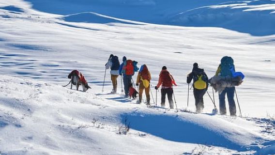 Chuyến đi bộ đường dài trong ngày ở Trolltunga