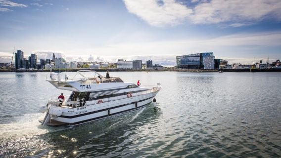 Reykjavík: New Year's Eve Northern Lights Yacht Cruise