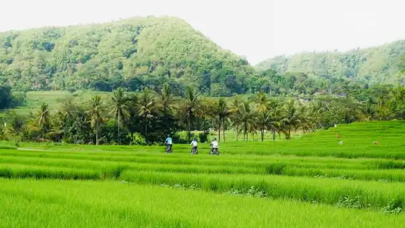Menoreh Village Cycling Tour in Nanggulan