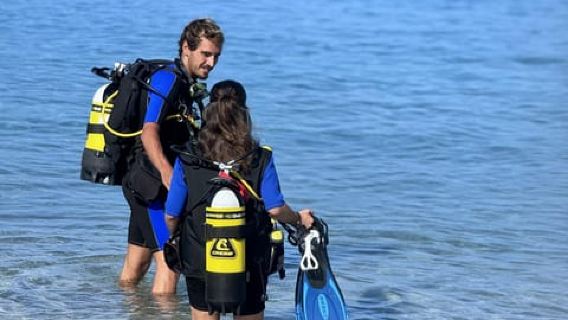 Tenerife: Scuba Dive & Fun, Discover the Magic of the Ocean