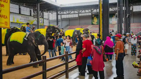 [จากกรุงเทพฯ] ทัวร์พัทยาดิสคัฟเวอรี่ – หนึ่งวันเต็มกับสถานที่สำคัญ