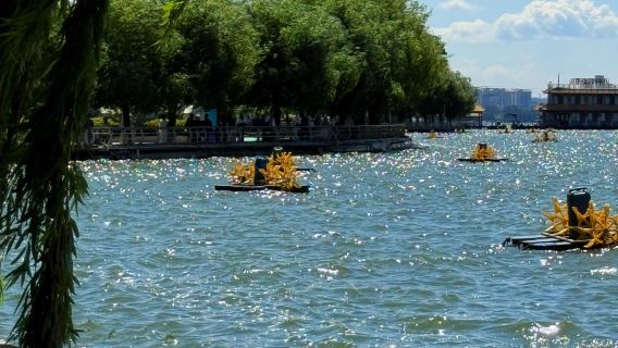 однодневный тур по Цветочному городку Доунань в Куньмине, Национальной деревне Юньнань и парку Хайгэн на озере Дяньчи с услугами на китайском и английском языках