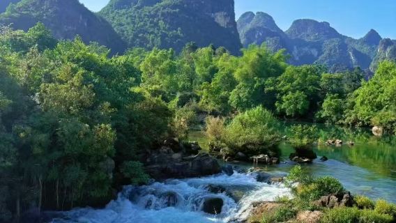 Excursion d'une journée en voiture privée à Chongzuo, Guangxi, Chine + Baie de Dongnayu + Gorge de Tongling / Petit groupe exclusif et raffiné