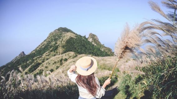 พบกับความงามของธรรมชาติและกลิ่นอายศิลปะ~ทัวร์ 1 วันพิพิธภัณท์พระราชวังแห่งชาติกู้กง + อุทยานแห่งชาติหยางหมิงซานคัดสรรในไทเป