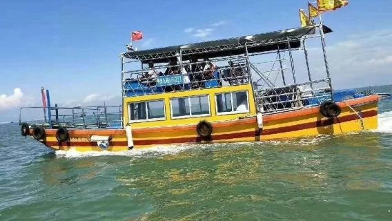 Huizhou Xunliao Bay Trawling Fishing | Speedboating Sightseeing + Net Casting Fishing [Keep Your Catch + Local Specialty Sea Tour]