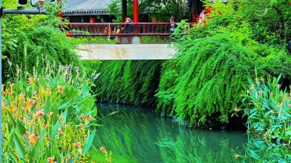 Chengdu Longquanyi District-Business Translator/ guide/Local Guide-Citywalk |Attractions|English/Russian/French/Minority Languages|Welcome to consult