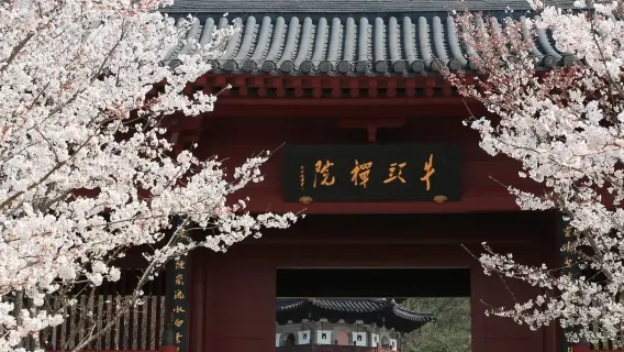 [Nanchino tour privato con autista] +Area Turistica Culturale del Monte Niushou+Tempio di Confucio+Area Panoramica del Fiume Qinhuai e del Tempio di Confucio