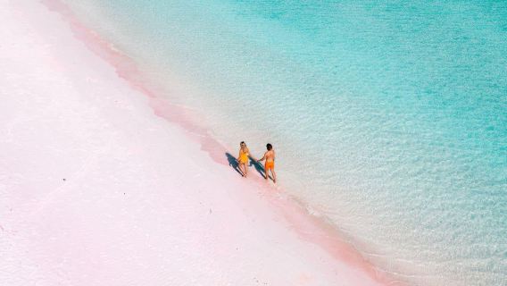 Indonesia Komodo 1-day tour [private group|join-in tour|Private boat charter/Pink Beach/Komodo dragon