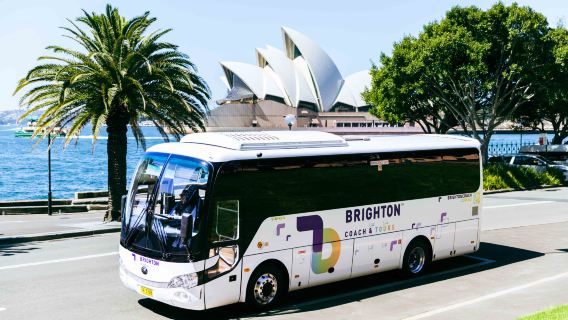 Tour tham quan nửa ngày quanh thành phố Sydney – đón tại sân bay cho chuyến bay quốc tế, tham quan khu The Rocks và Bãi biển Bondi – có thể chọn điểm tập trung trong thành phố