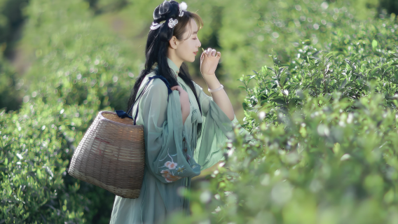 항저우 프라이빗 일일투어: 한푸 체험, 차 따기 & 윈치 대나무 숲길