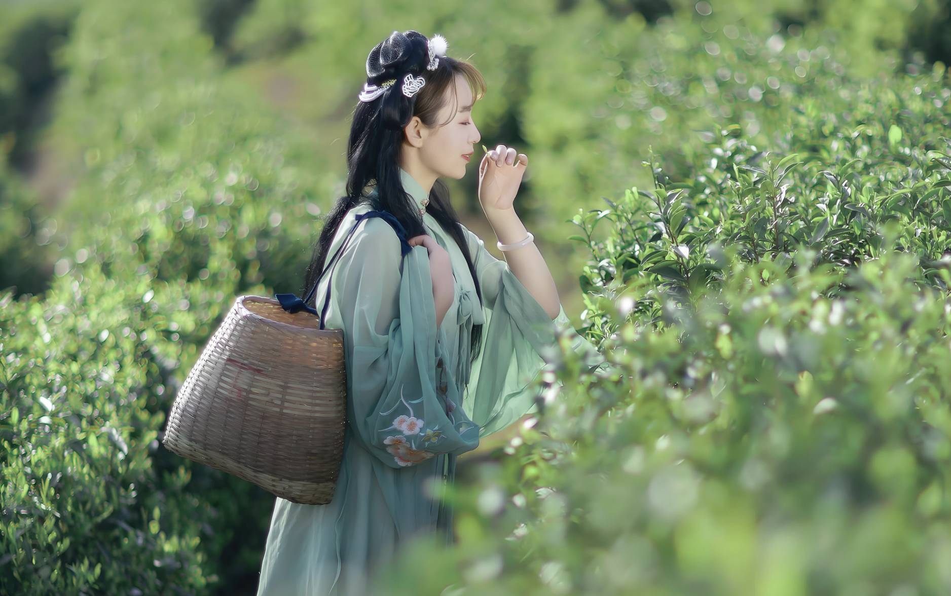 Hangzhou Private Day Tour: Hanfu Dress-Up, Tea Picking & Yunqi Bamboo Trail