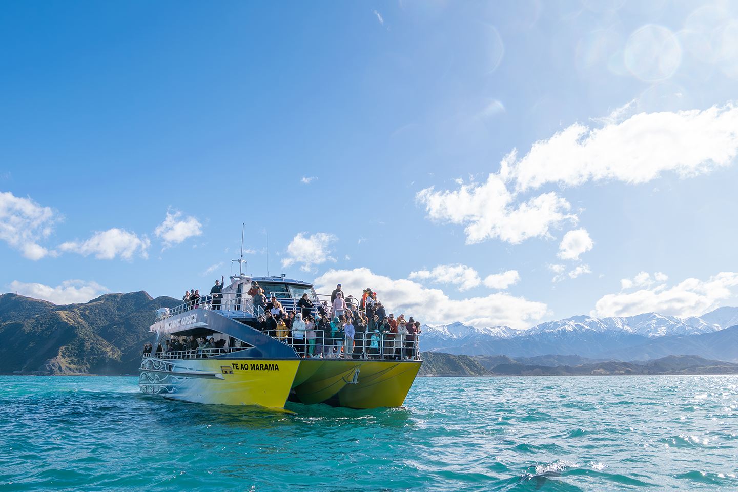 Tour di un giorno a Kaikoura da Christchurch (con biglietto per la barca per il whale watching) e trasferimento dall'hotel