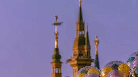 Reiseleiter für Shanghai Disney|Chinesisch / Englisch|Fotoshooting mit Aktivitäten|Junge Butler bieten Ihnen einen aufmerksamen Service