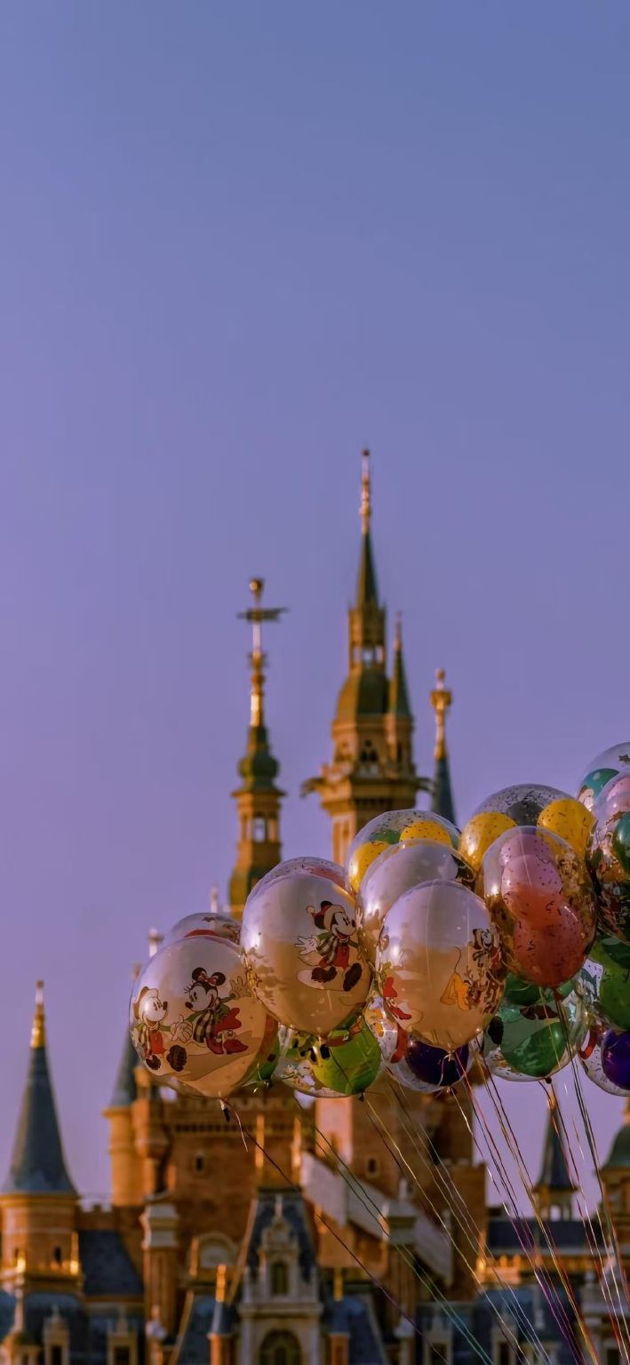 Shanghai Disneyland guide|Chinese / English|Photography and guided tour|Young butlers provide thoughtful service for you