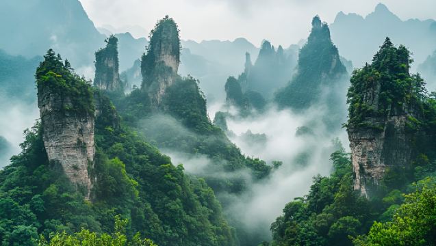 Zhangjiajie National Forest Park: Yangjiajie + Golden Whip Stream + Ten-mile Gallery 1-day tour