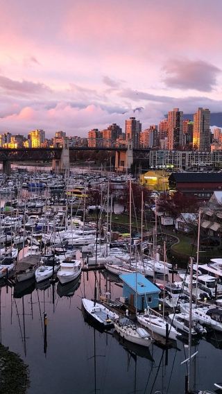 1-day tour to Capilano Suspension Bridge and Vancouver Lookout in Vancouver, Canada [English-speaking group]