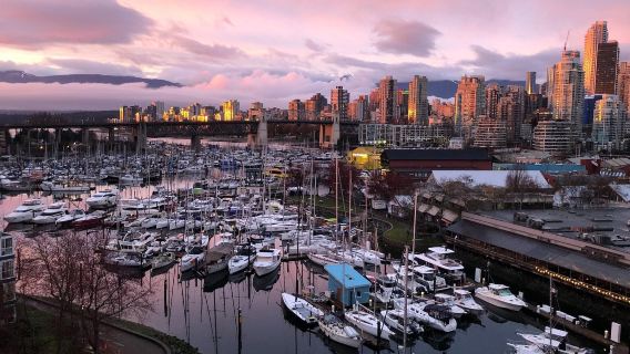 1-day tour to Capilano Suspension Bridge and Vancouver Lookout in Vancouver, Canada [English-speaking group]