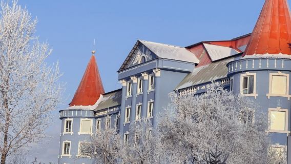 China + Zhengding Ancient City + Tianning Temple / Door-to-door Pickup / Customizable Itinerary