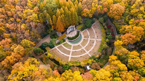 美齡宮+明孝陵+中山陵景區+音樂台+梧桐大道+鐘山風景區一日遊