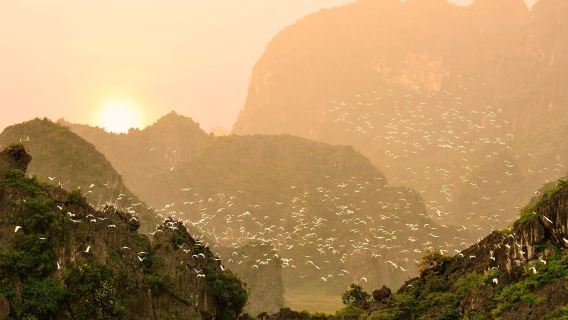 (Private vehicle + English/Korean guide + meals included) Complete Ninh Binh tour|Hangmuah + Bigdong Temple + Tungnam Nature Ecology Tour