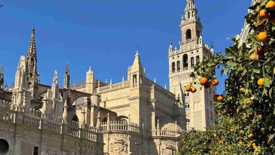 Royal Alcázar of Seville + La Giralda + Flamenco Theater Private Charter Day Tour