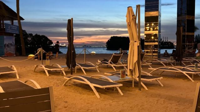 Mangrove Ecology and Urban Slow Living Day Tour