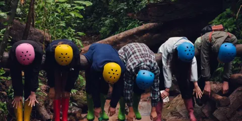 【精品小團】基諾山雨林徒步|高端限流小團|市區上門接送|純玩
