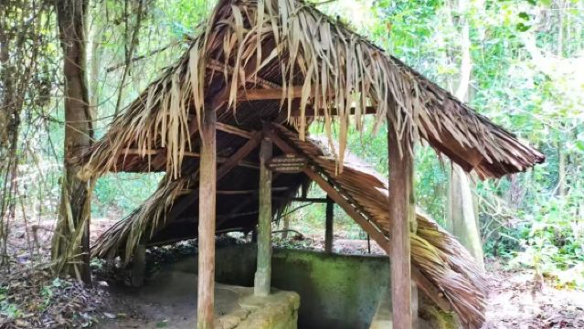 Cu Chi Tunnel Half-Day Tour (Learn about the tunnel's history, explore inside the tunnels, and taste steamed cassava)