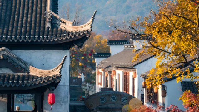 Da Shanghai: Escursione privata di un giorno alla Città Antica di Huishan a Wuxi e alla Vista Fiorita di Nanchang Street