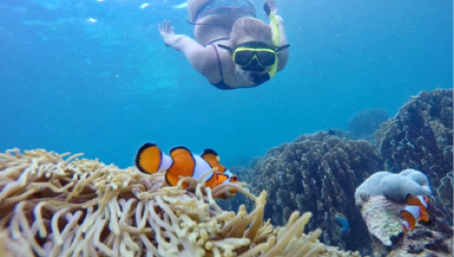 From Krabi: Phi Phi Islands + Ko Mai Phai + Maya Bay | 2 Snorkeling Sessions + Island Hopping