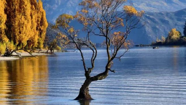 Berlepas dari Queenstown: Lawatan Sehari Sewaan Peribadi Bahasa Cina ke Arrowtown + Wanaka + Pekan Buah