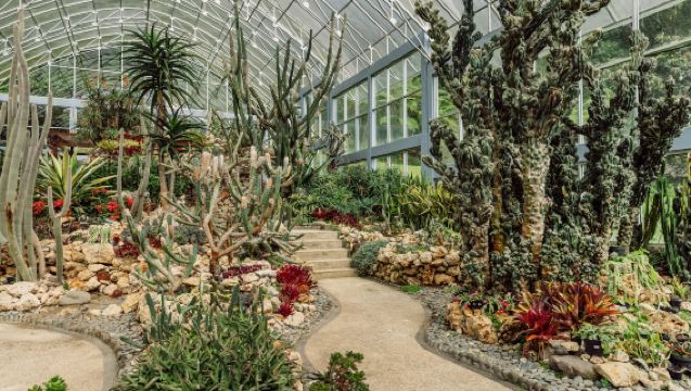 ทัวร์ธรรมชาติบาหลี: สวนพฤกษศาสตร์ ปูราอูลุนดานู และประตูฮันดารา