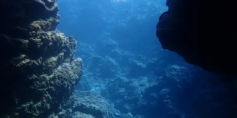 日本那霸青之洞窟體驗潛水水肺潛水/浮潛4小時【【那霸/北谷定點接送】搭船移动 青洞浮潜/深潜体验】