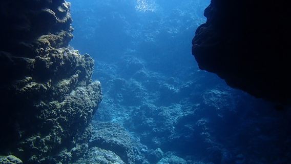 4-Hour Blue Cave Scuba Diving/Snorkeling Experience in Naha, Japan [Naha/Chatan Pickup & Drop-off] Boat Transfer for Blue Cave Snorkeling/Scuba Diving Experience