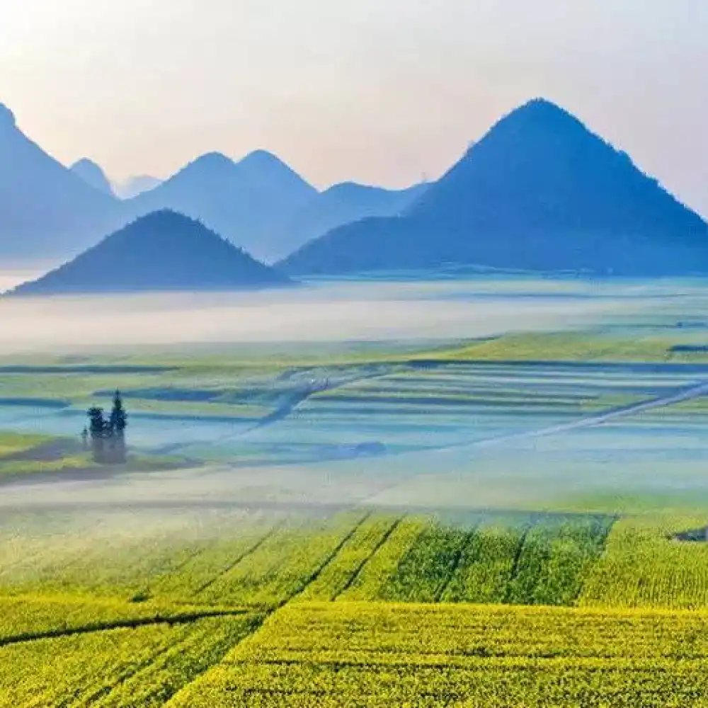 Yunnan - business translation - Chinese/Cantonese/English/Japanese