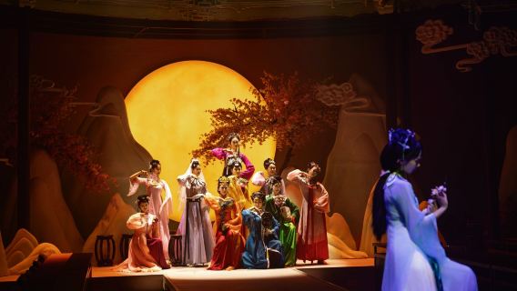 Nanjing palace feast • Poetry feast (first national store) • Immersive experience of Jinling palace feast/dining show (palace music and dance performance + optional lunch/dinner) • Near Xuanwu Lake