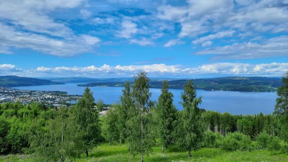 Norway Oslo Memorial Perlembagaan 1814 Eidsvoll + Tempat Kelahiran Norway - sewaan peribadi - Pilihan Eksklusif