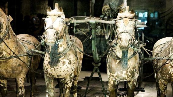 Emperor Qin's Terracotta Warriors + Bronze Chariot and Horse Exhibition Hall + Muslim Quarter food tour