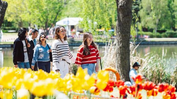 From Sydney: Small Group Canberra City and Floriade Day Tour