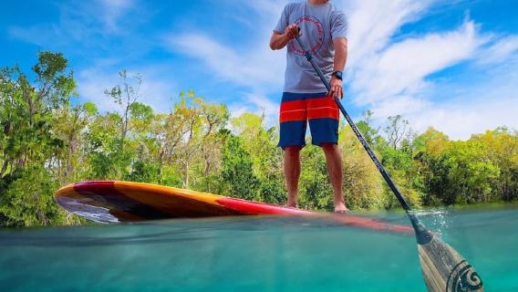 Orange City: Blue Spring State Park SUP & Kayaking Tour