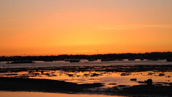 From Faro: Ria Formosa Sunset Boat Trip