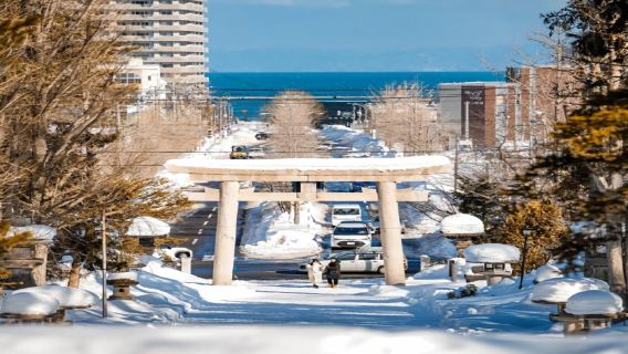 日本北海道+ 神威岬+余市蒸餾所一日遊/行程可調-可訂製