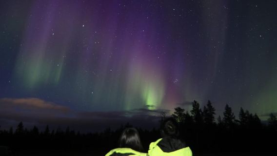 Inari/Ivalo: Aurora Hunting Tour by Car with Warm Drinks